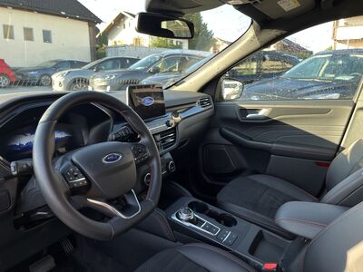 Ford Kuga Gebrauchtwagen