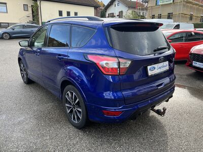 Ford Kuga Gebrauchtwagen