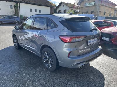 Ford Kuga Gebrauchtwagen
