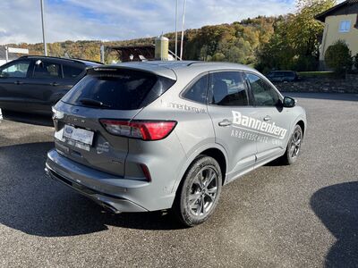 Ford Kuga Gebrauchtwagen