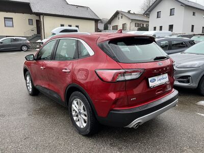 Ford Kuga Gebrauchtwagen