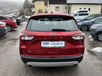 Ford Kuga Gebrauchtwagen