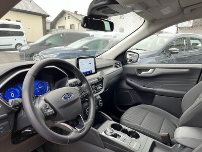 Ford Kuga Gebrauchtwagen