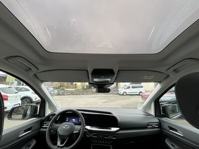 Ford Tourneo Connect Tageszulassung