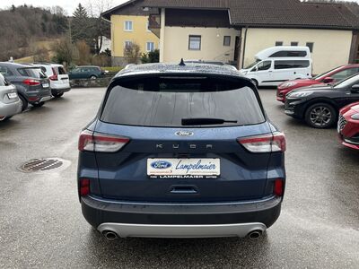 Ford Kuga Gebrauchtwagen