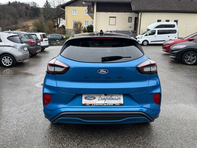 Ford Puma Tageszulassung Ford Puma Tageszulassung