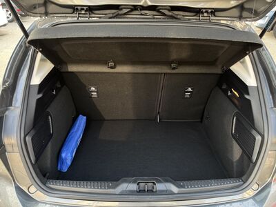 Ford Focus Vorführwagen Ford Focus Vorführwagen