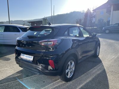 Ford Puma Gebrauchtwagen