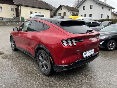Ford Mustang Mach-E Gebrauchtwagen Ford Mustang Mach-E Gebrauchtwagen