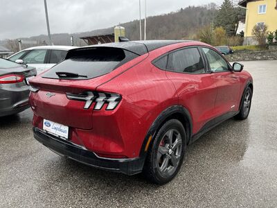 Ford Mustang Mach-E Gebrauchtwagen Ford Mustang Mach-E Gebrauchtwagen