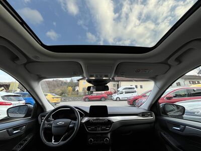 Ford Kuga Gebrauchtwagen