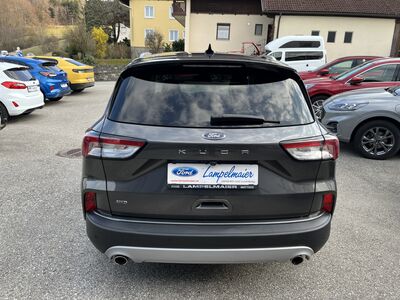 Ford Kuga Gebrauchtwagen