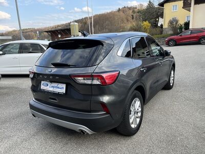 Ford Kuga Gebrauchtwagen