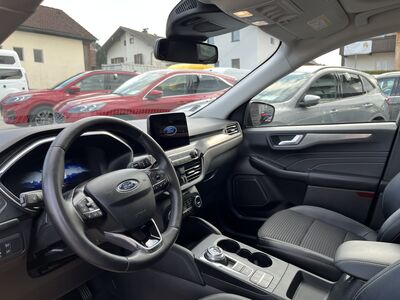 Ford Kuga Gebrauchtwagen