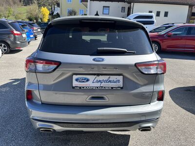 Ford Kuga Gebrauchtwagen