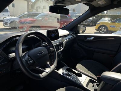 Ford Kuga Gebrauchtwagen