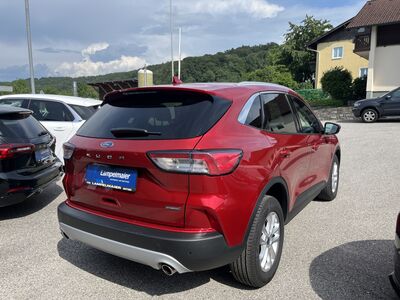 Ford Kuga Gebrauchtwagen Ford Kuga Gebrauchtwagen