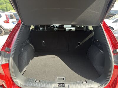 Ford Kuga Gebrauchtwagen Ford Kuga Gebrauchtwagen