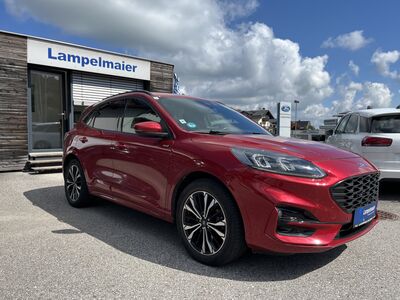 Ford Kuga Gebrauchtwagen Ford Kuga Gebrauchtwagen