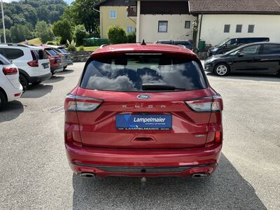 Ford Kuga Gebrauchtwagen Ford Kuga Gebrauchtwagen