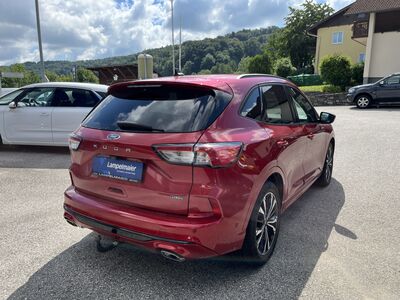 Ford Kuga Gebrauchtwagen Ford Kuga Gebrauchtwagen