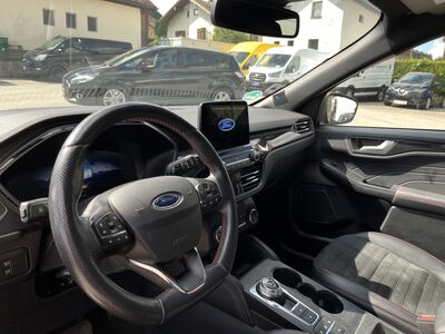 Ford Kuga Gebrauchtwagen Ford Kuga Gebrauchtwagen