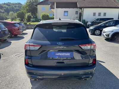 Ford Kuga Gebrauchtwagen Ford Kuga Gebrauchtwagen