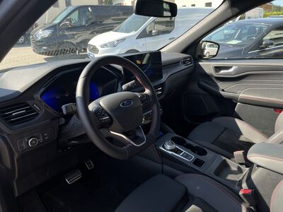 Ford Kuga Gebrauchtwagen