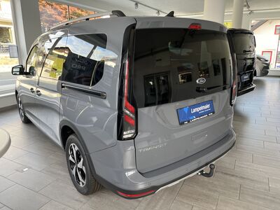Ford Transit Connect Tageszulassung