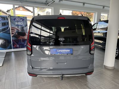Ford Transit Connect Tageszulassung