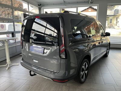 Ford Transit Connect Tageszulassung
