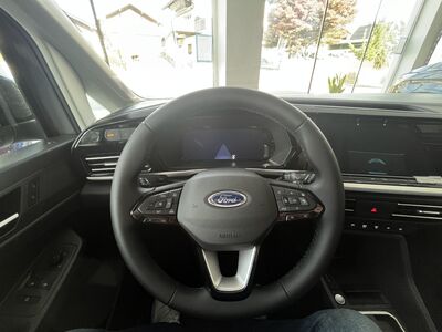 Ford Transit Connect Tageszulassung