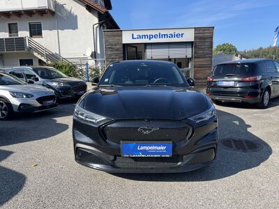 Ford Mustang Mach-E Gebrauchtwagen