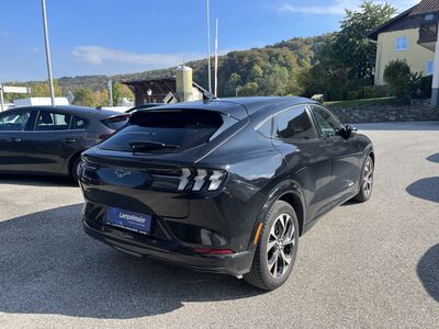 Ford Mustang Mach-E Gebrauchtwagen