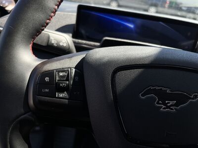 Ford Mustang Mach-E Gebrauchtwagen Ford Mustang Mach-E Gebrauchtwagen
