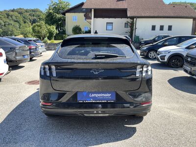 Ford Mustang Mach-E Gebrauchtwagen Ford Mustang Mach-E Gebrauchtwagen