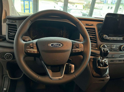 Ford Tourneo Custom Gebrauchtwagen