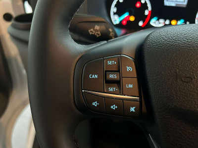 Ford Tourneo Custom Gebrauchtwagen