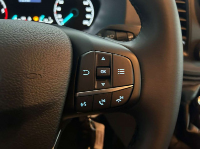 Ford Tourneo Custom Gebrauchtwagen