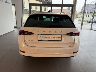 Skoda Octavia Gebrauchtwagen