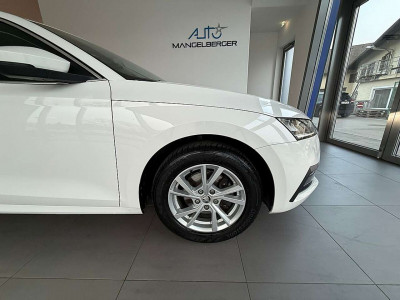 Skoda Octavia Gebrauchtwagen