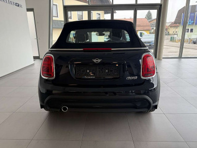 MINI Cabrio Gebrauchtwagen