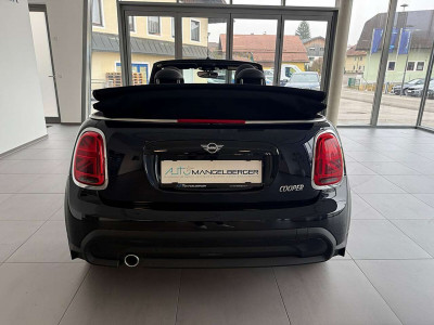 MINI Cabrio Gebrauchtwagen