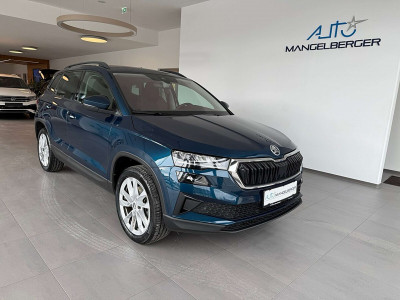 Skoda Karoq Gebrauchtwagen