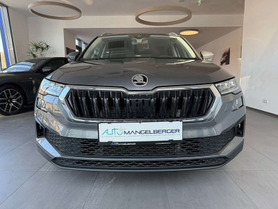 Skoda Karoq Gebrauchtwagen