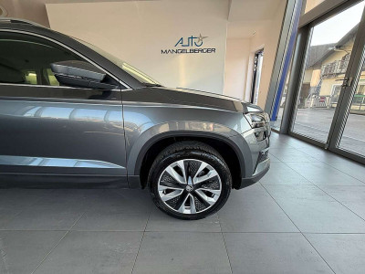 Skoda Karoq Gebrauchtwagen