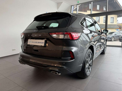 Ford Kuga Gebrauchtwagen
