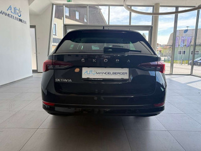 Skoda Octavia Gebrauchtwagen