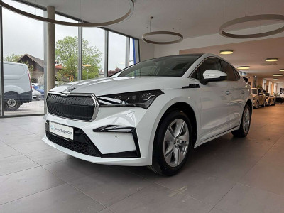 Skoda Enyaq Gebrauchtwagen Skoda Enyaq Gebrauchtwagen