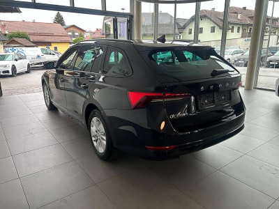 Skoda Octavia Gebrauchtwagen Skoda Octavia Gebrauchtwagen